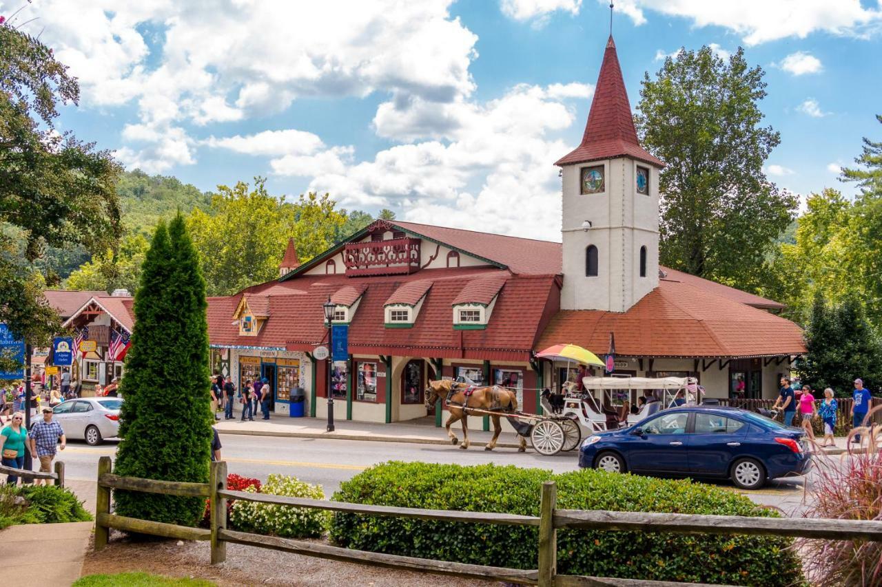 Skycrest Villa Sautee Nacoochee Kültér fotó